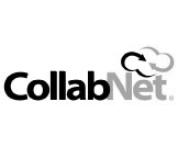 CollabNet
